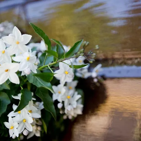 Relaxed Verblijf In Chalet Op De Veluwe Alpehytte Putten